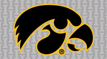 Hawk-Fanatic-Iowa-Hawkeyes-hawk-logo