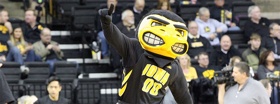 herky-the-hawk