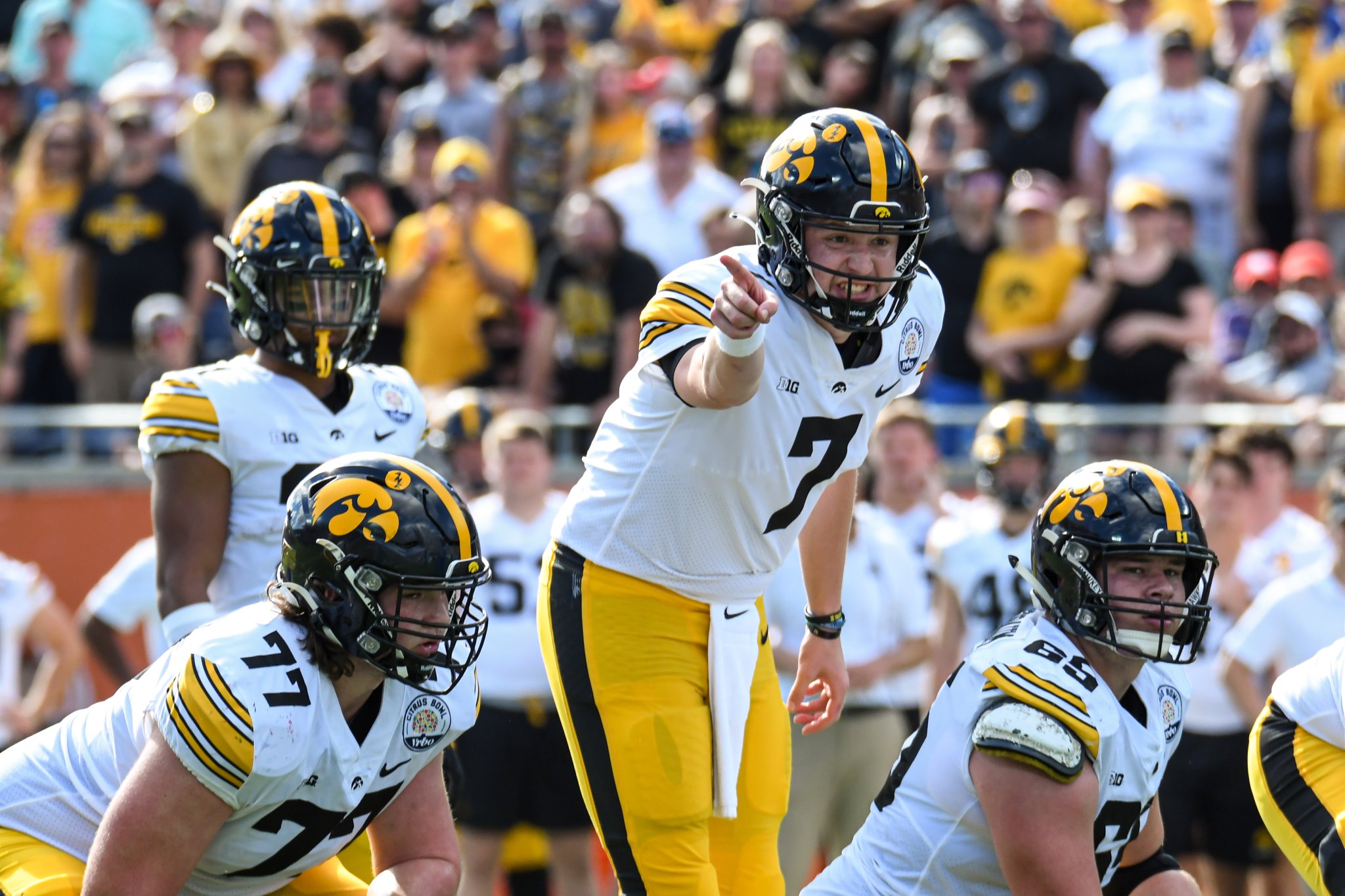 IgYBrDkV.jpg large IgYBrDkV.jpg large