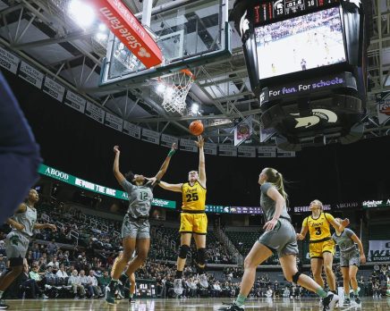 czinano at michigan state