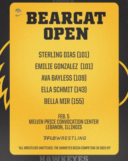 bear cat open
