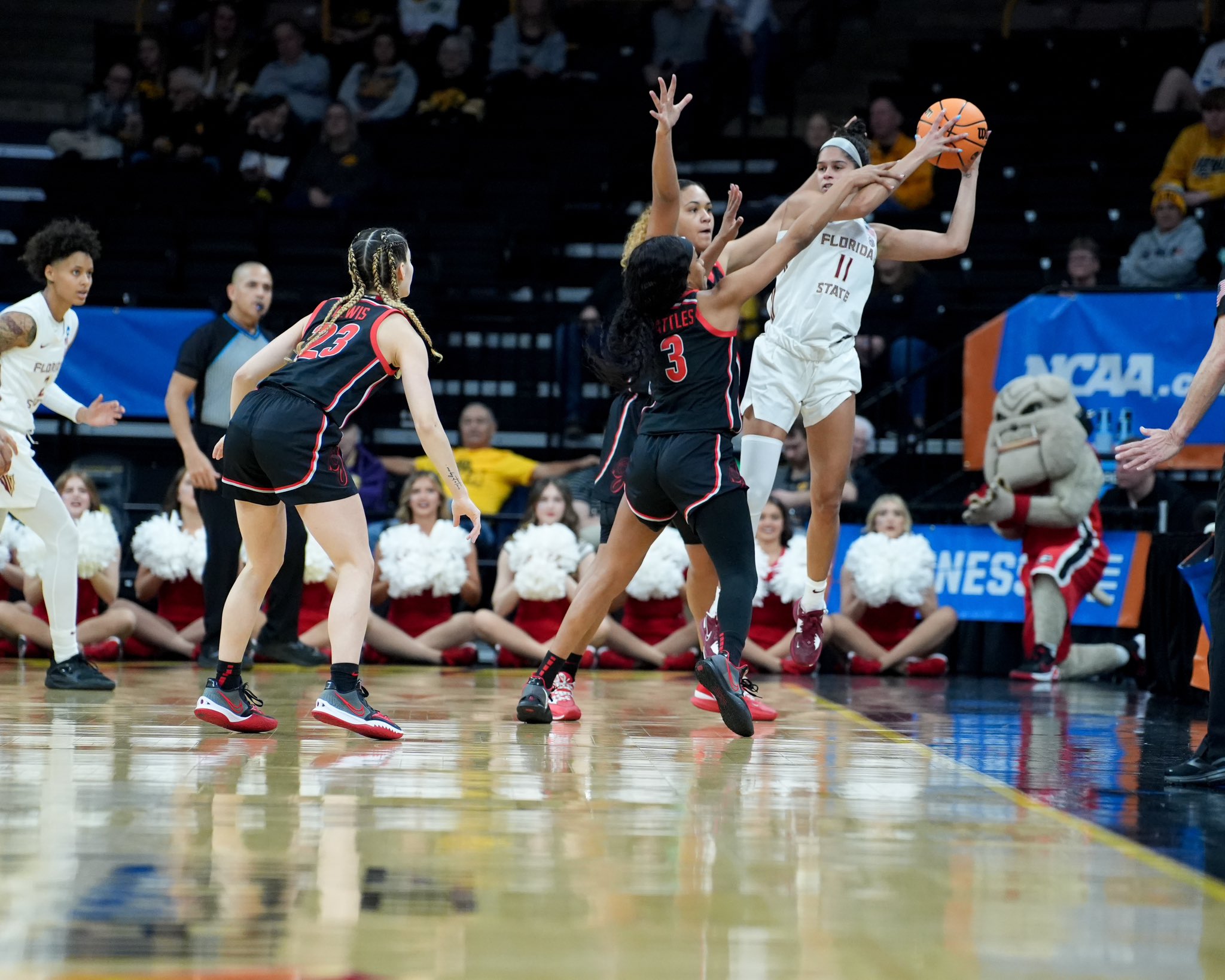 georgia transcript georgia transcript