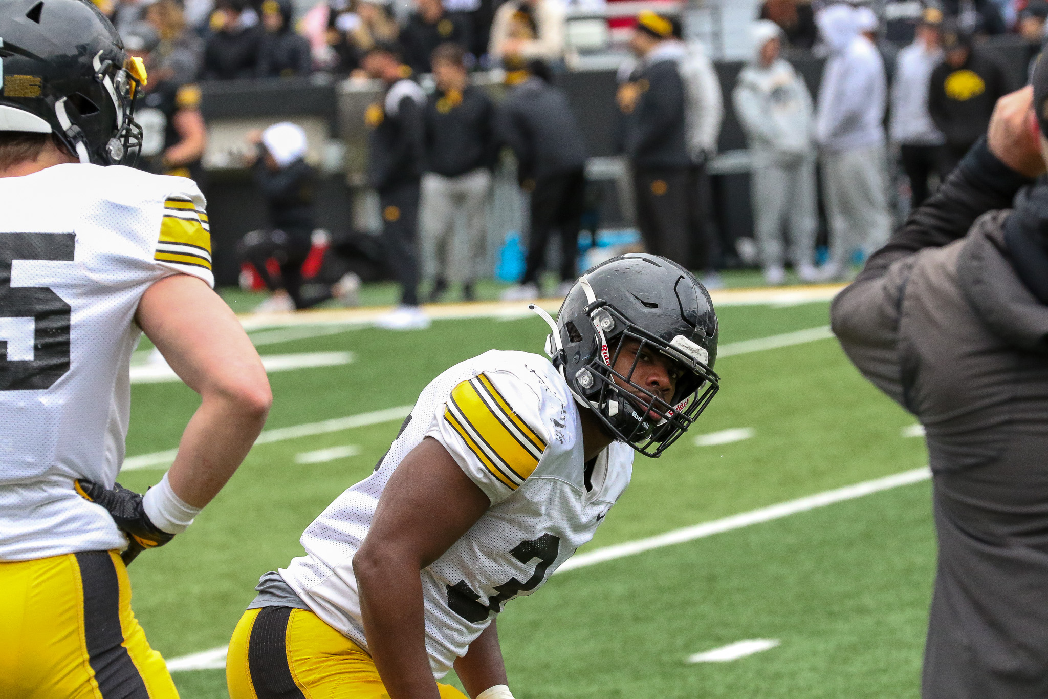 Jay Higgns Jay Higgns