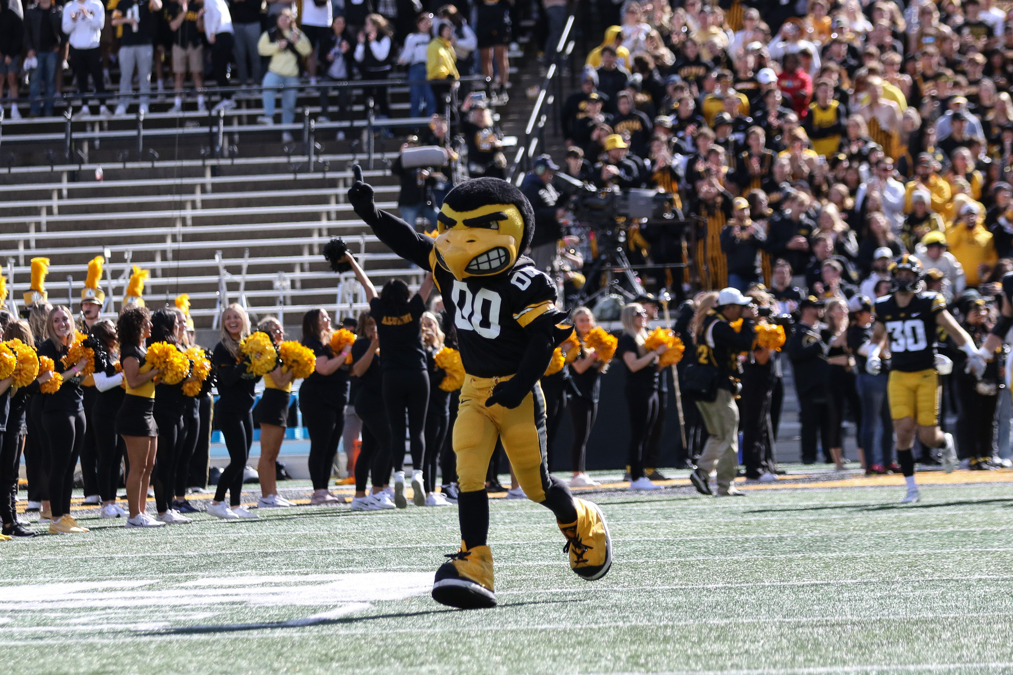 Herky Herky