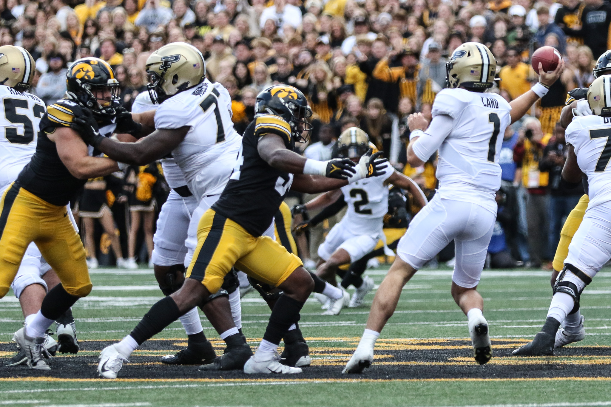 Jay Higgins Jay Higgins