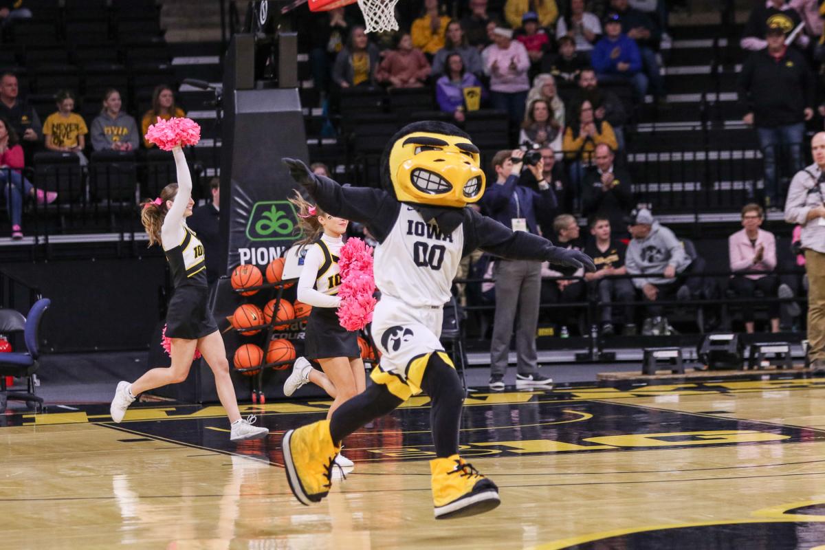 Basketball Herky